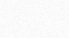 bg.png