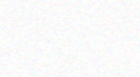 bg.png