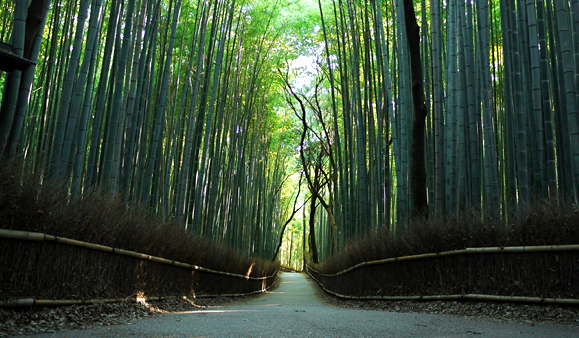 Arashiyama,Kyoto