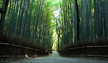 Arashiyama,Kyoto