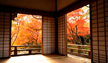 Arashiyama,Kyoto