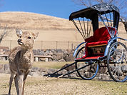 nara.jpg