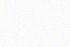 bg.png