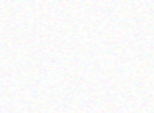 bg.png