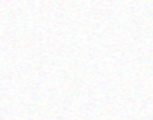 bg.png