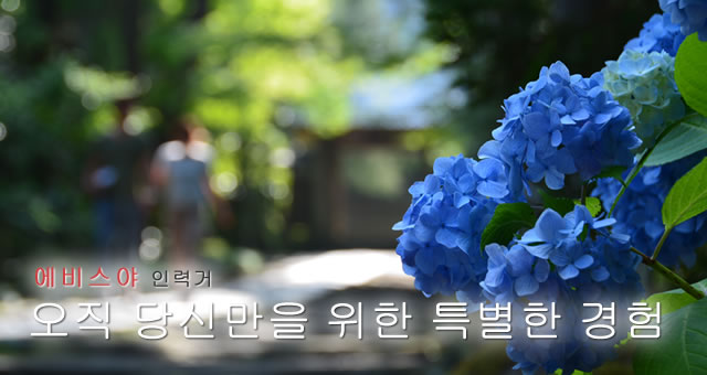 에비스야 인력거 오직 당신만을 위한 특별한 경험
