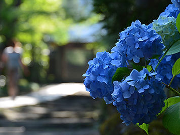 kamakura.jpg